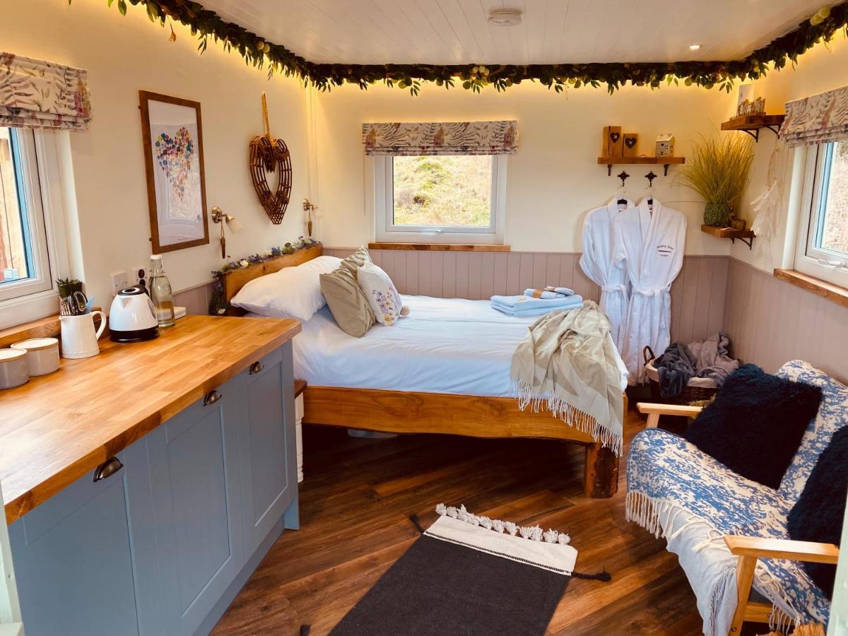 The Original Sleeping Giant With Hot Tub & Alpacas Farm stay Ystradgynlais
