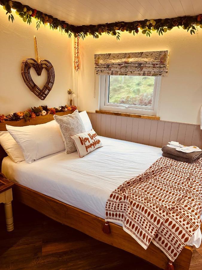 The Original Sleeping Giant With Hot Tub & Alpacas Ystradgynlais